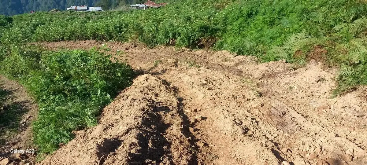 تشکیل پرونده قضایی برای عاملین تخریب محیط زیست در شهرستان شفت