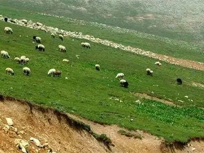 واگذاری مدیریت 749 هزار هکتار ار مراتع استان مرکزی به بهره‌برداران