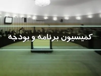 تحقیق و تفحص از سازمان برنامه و بودجه در کمیسیون بودجه تصویب شد