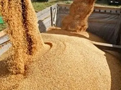 محکومیت ۶ میلیاردی قاچاق نهاده دامی وارداتی در یزد