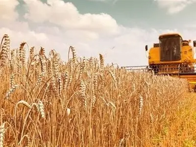 قیمت پیشنهادی ۸۵ هزار تومانی گندم مربوط به مصوبه کمیته کارشناسی است