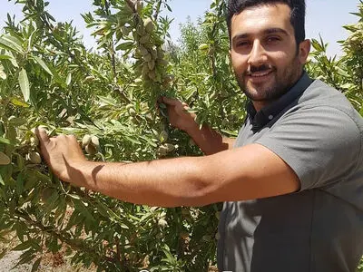 با خرید نهال بادام فرانیس در مسیر میلیونر شدن قدم بردارید