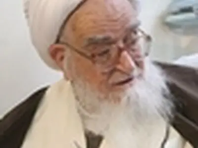 آیت‌الله صافی درگذشت حجت‌الاسلام والمسلمین حیدری را تسلیت گفت