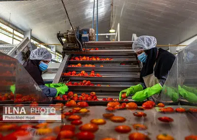 از مزرعه تا صنایع تبدیلی