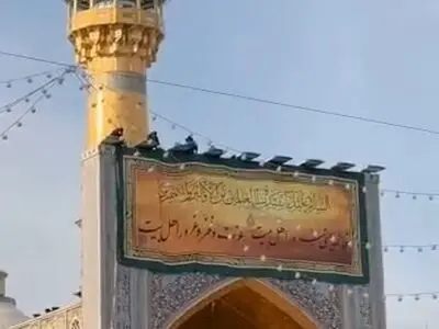  آذین‌بندی حرم رضوی برای ولادت حضرت زهرا(س) + فیلم