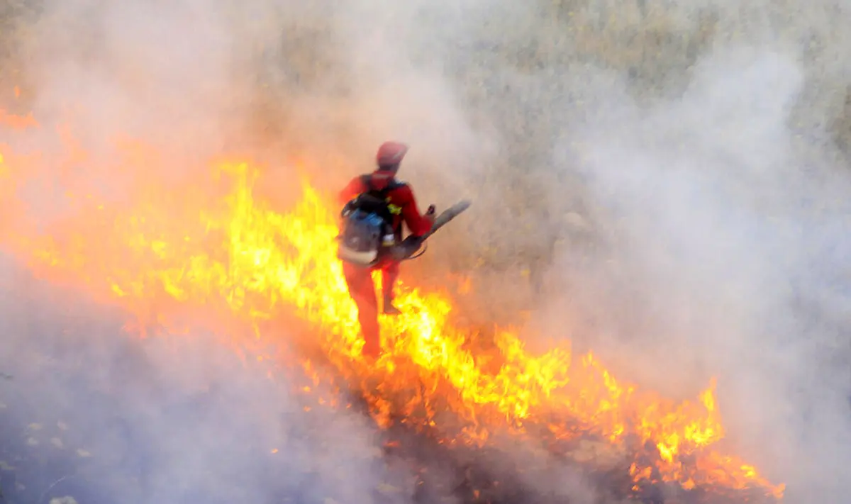 پشتیبانی هلال‌احمر از ۱۹۵ عملیات آتش‌سوزی جنگل‌ها و مراتع از ابتدای امسال