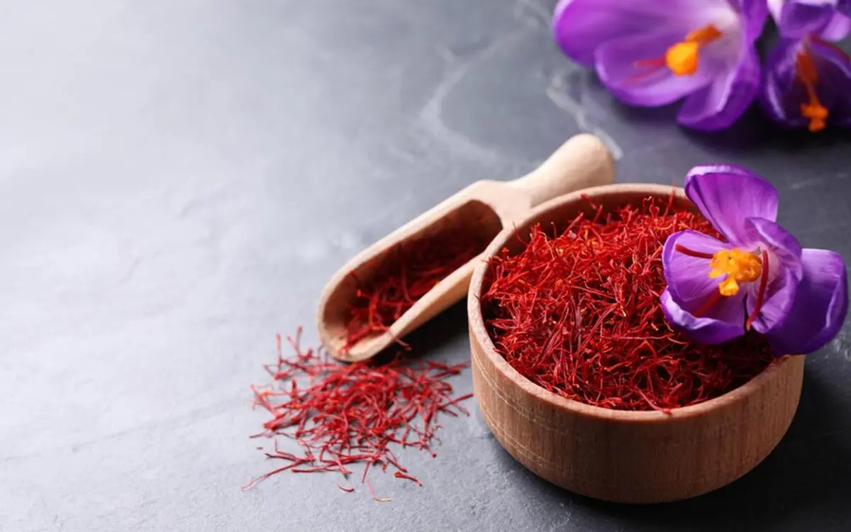 تولید 500 کیلوگرم زعفران در مزارع شهرستان خمین 