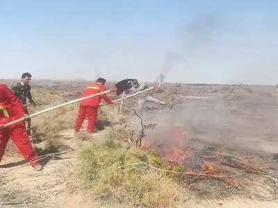 مهار آتش‌سوزی در تالاب هامون