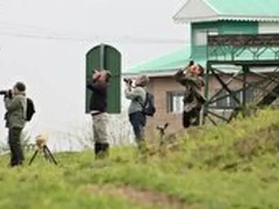 آغاز سرشماری پرندگان مهاجر آبزی با مشارکت داوطلبان در گیلان