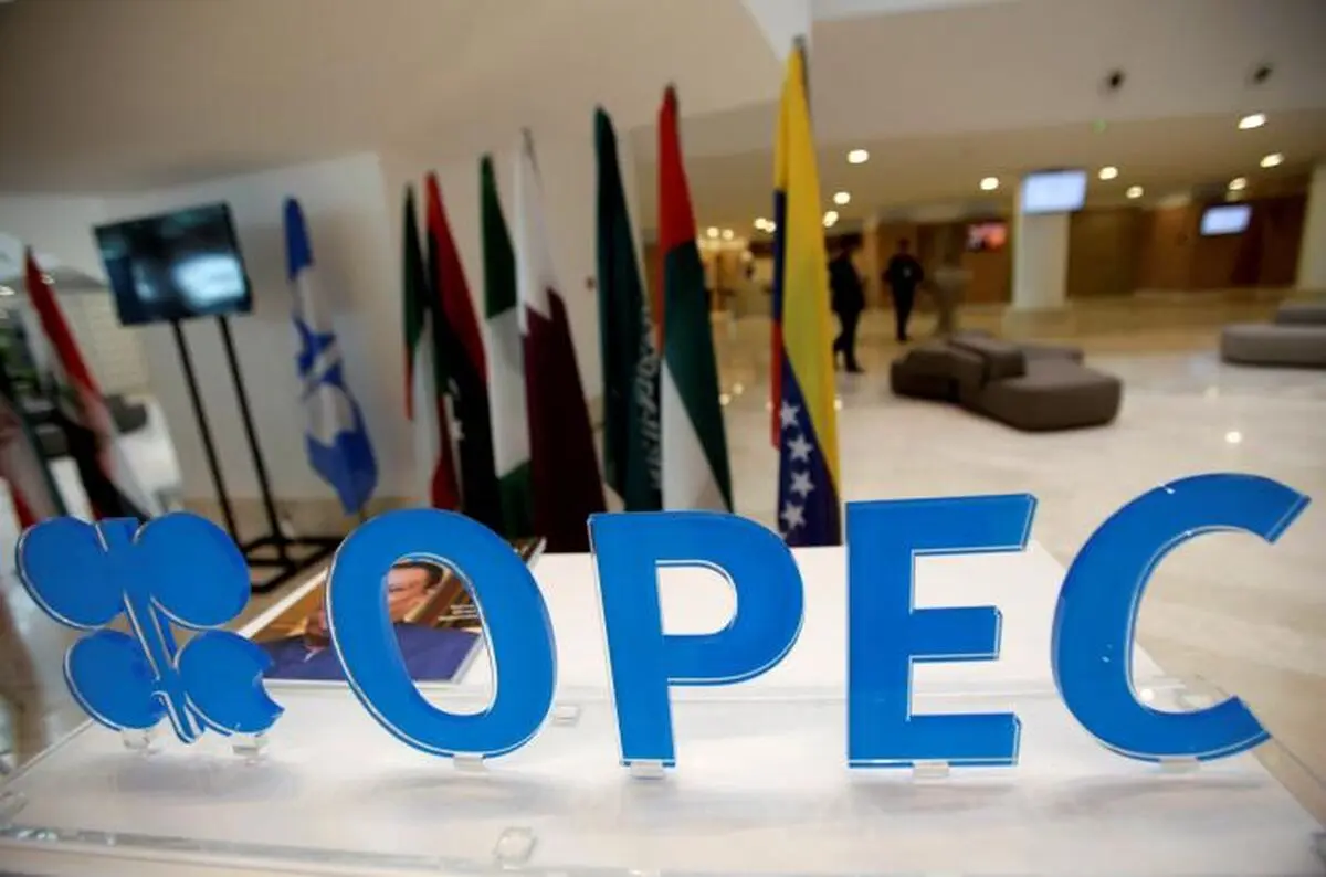 OPEC members believe re-election of Rouhani is sign of commitment
