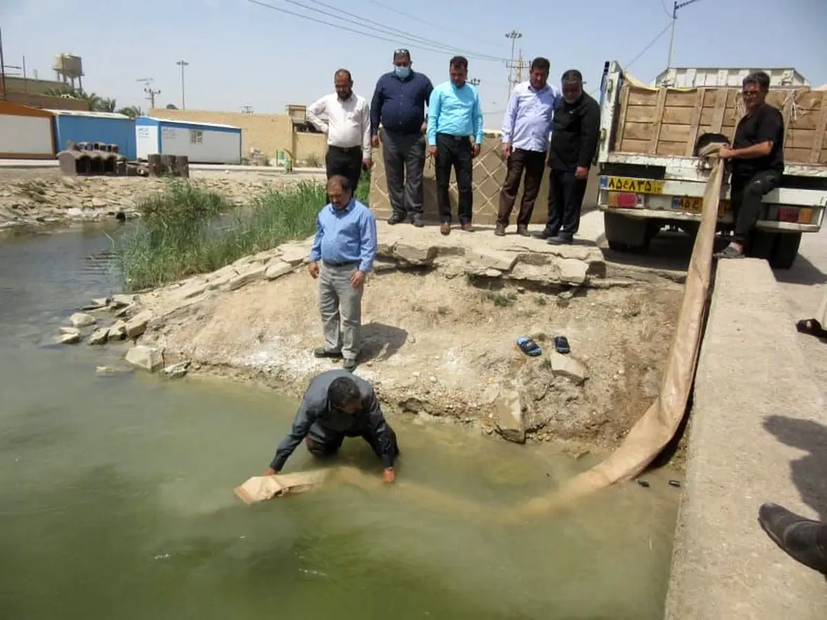 آغاز رهاسازی بچه ماهی در تالاب شادگان