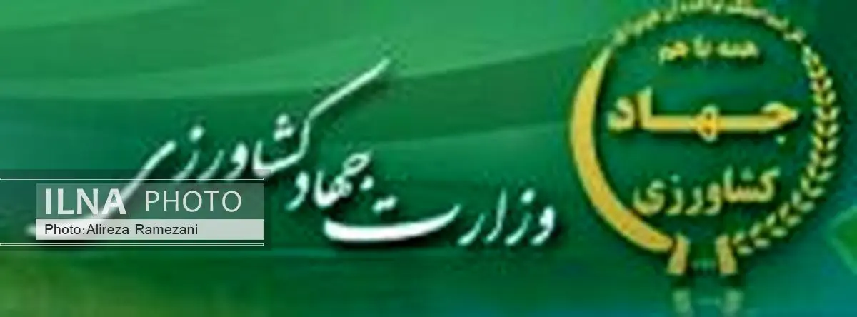 محصولات کشاورزی تراریخته در کشور تولید نمی شود