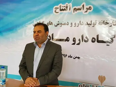گیاهان دارویی از استعداد‌های اصلی استان است