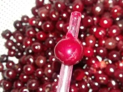 روش های آسان جدا کردن هسته آلبالو و گیلاس