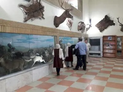 کشف فسیل ۱۰ میلیون‌ساله ردپای آهو در ماهنشان زنجان