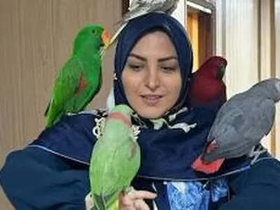 طوطی بازی المیرا شریفی مقدم روی آنتن زنده + فیلم