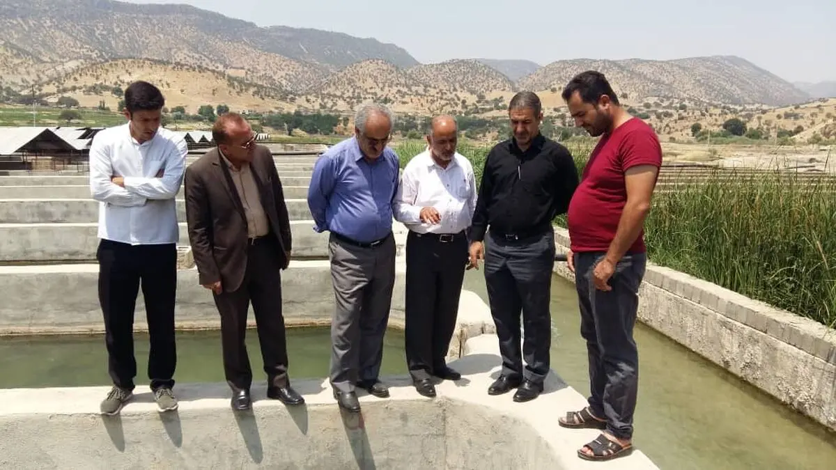 کهگیلویه و بویراحمد ظرفیت بالایی برای پرورش ماهیان خاویاری دارد