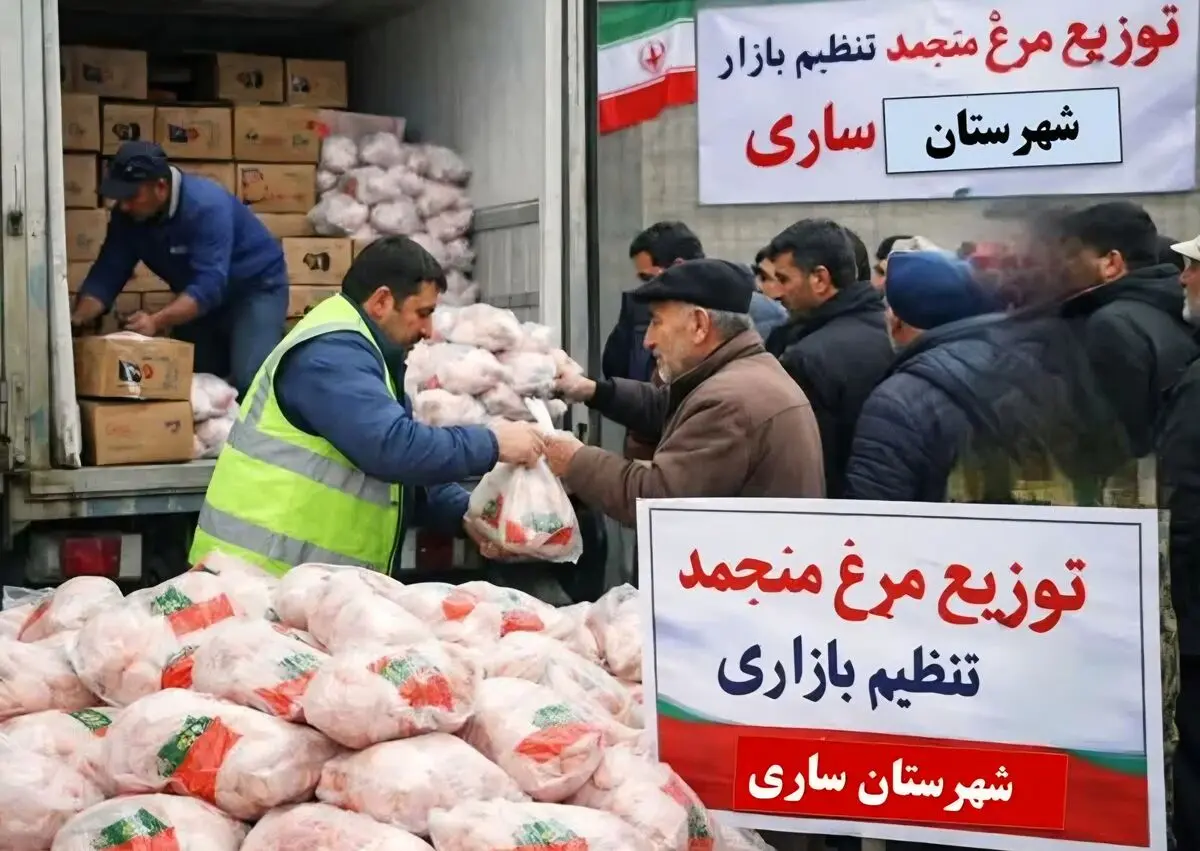 توزیع ۲۳۳ تن گوشت مرغ در ساری؛ استراتژی‌های مدیریت بازار و چالش‌های پنهان