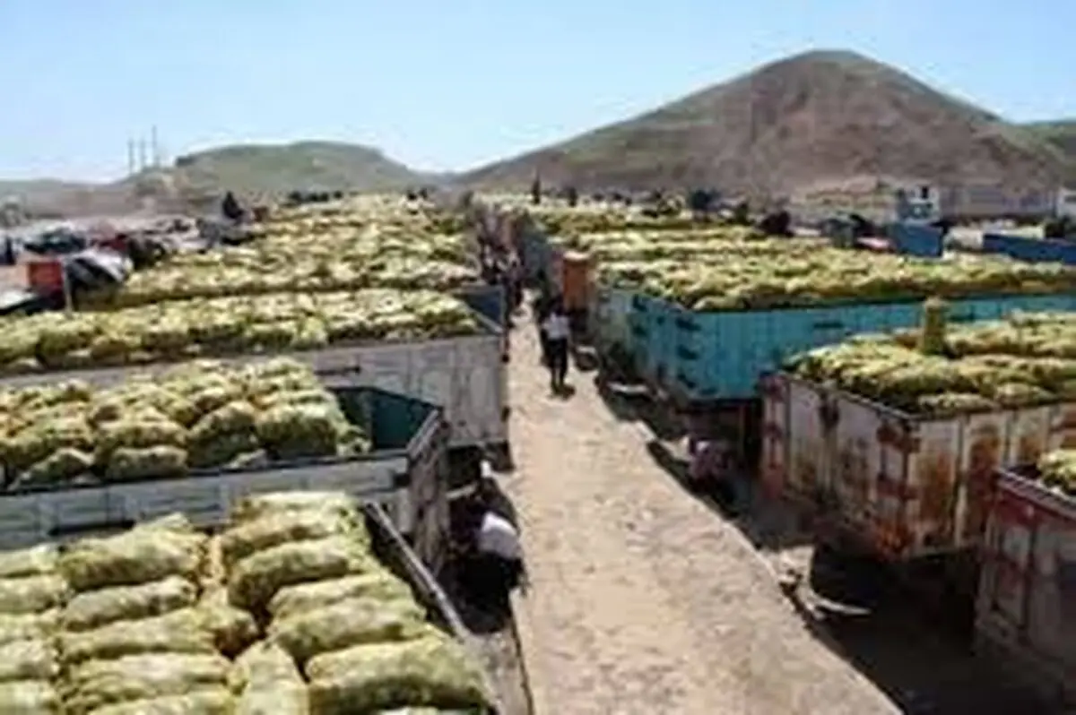آغاز صادرات سیب زمینی از مرز پرویز خان