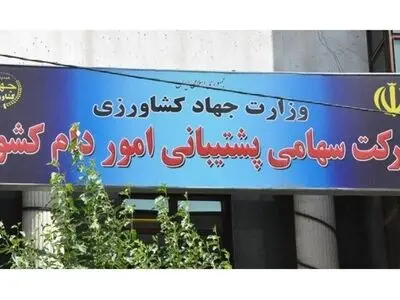 سرپرست جدید شرکت پشتیبانی امور دام کشور منصوب شد
