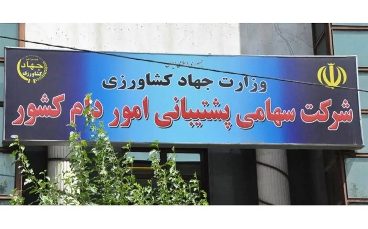 سرپرست جدید شرکت پشتیبانی امور دام کشور منصوب شد

