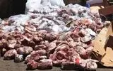 متلاشی شدن یک شبکه غیرمجاز کشتار تک‌سمیان در استان زنجان