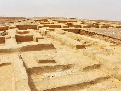 کشف اسکلت میمون پنج هزار ساله در شهر سوخته 
