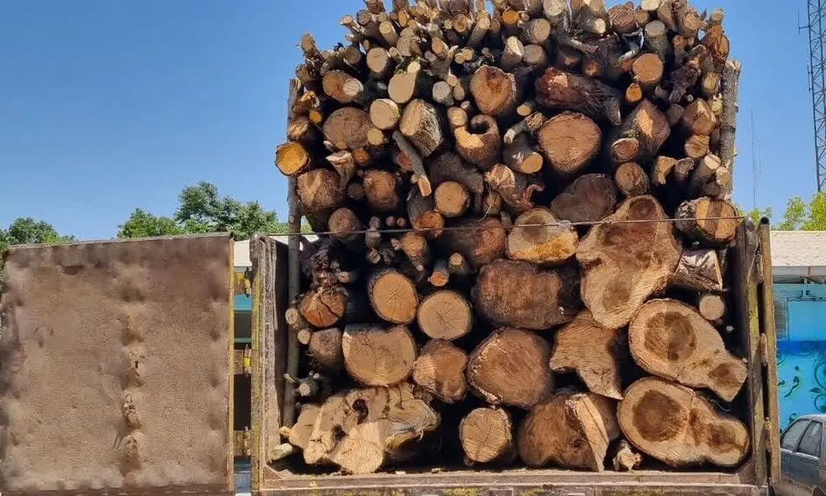 شناسایی و انهدام باند قاچاق چوب با دوربین تله‌ای در استان مازندران