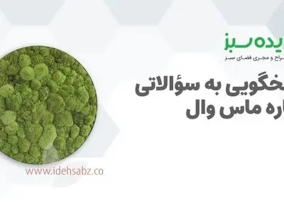 پاسخ به سؤالاتی درباره ماس وال؛ دیوار سبز خزه‌ای