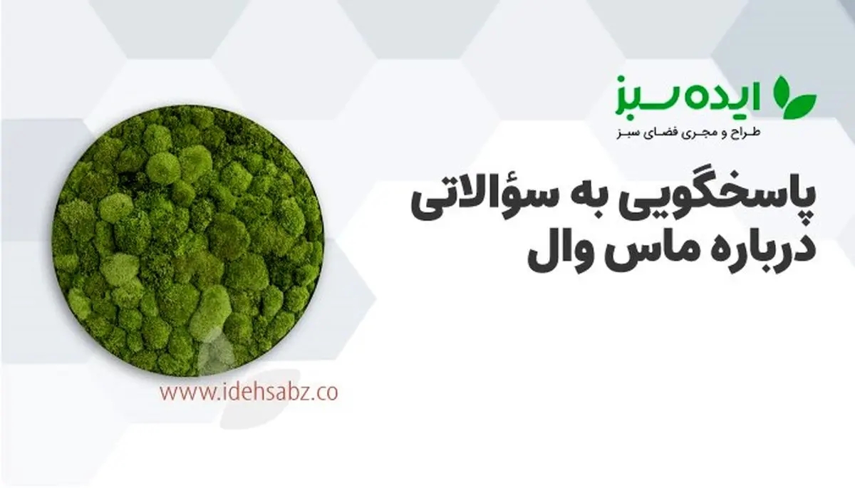 پاسخ به سؤالاتی درباره ماس وال؛ دیوار سبز خزه‌ای