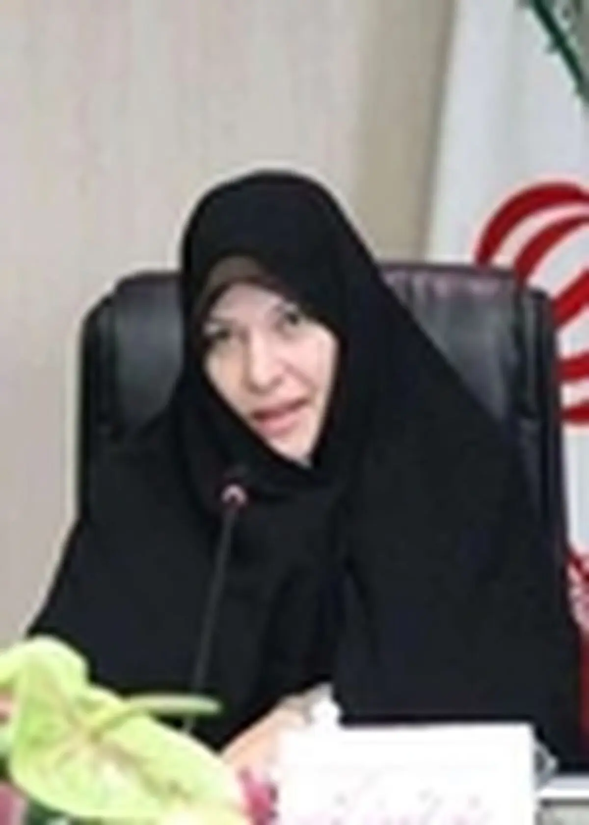 تدوین نهایی سند امنیت اجتماعی زنان و خانواده در روابط اجتماعی