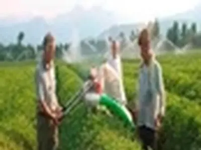 مبارزه بیولوژیک علیه آفت شپشک آرد آلود باغات چای