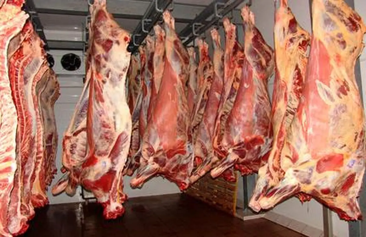 کشف بیش از ۱۶ هزار کیلو گوشت قرمز احتکار شده