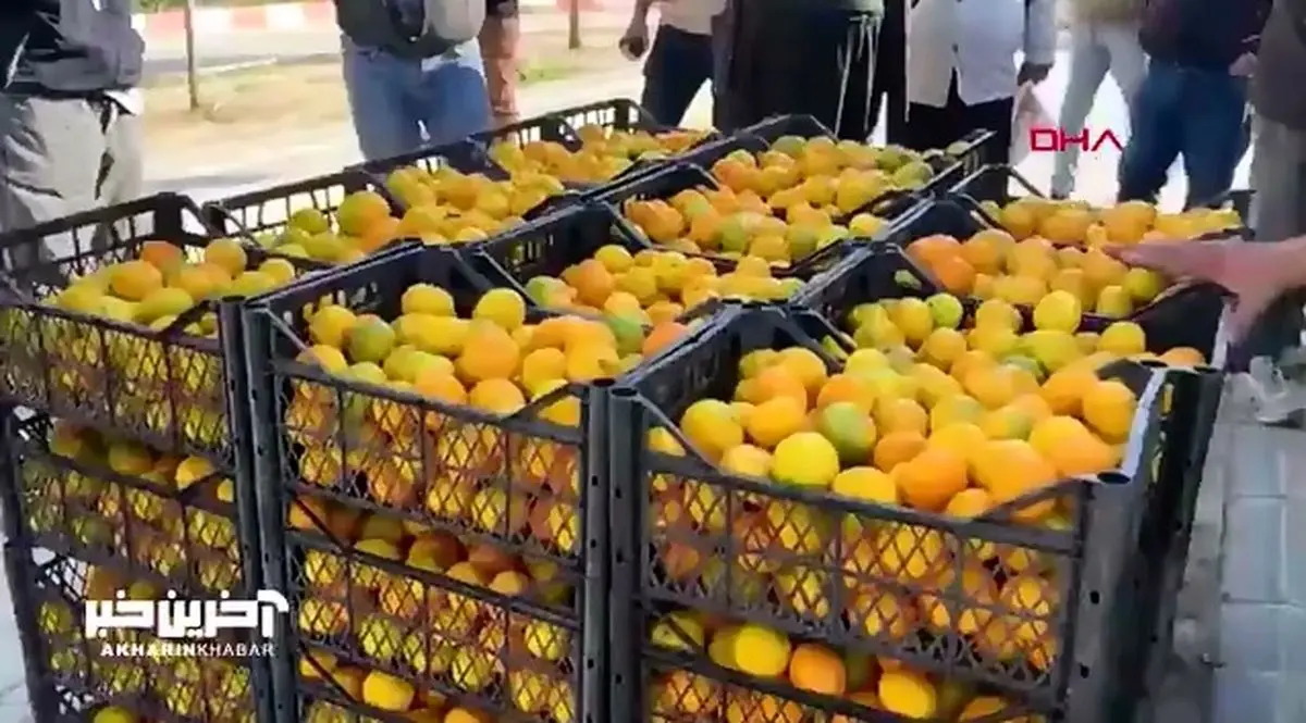 نارنگی رایگان! + فیلم