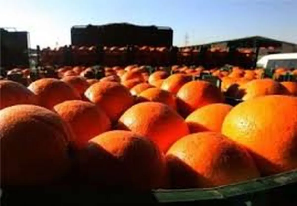 صادرات باغی مازندران برگشتی نداشت