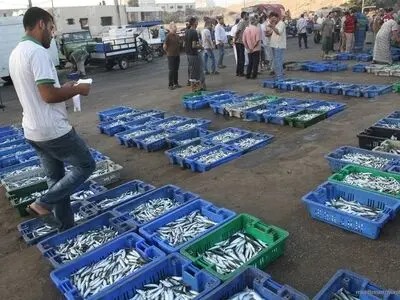 شمار بیکاران در نوار غزه به بیش از 2 هزار نفر رسید