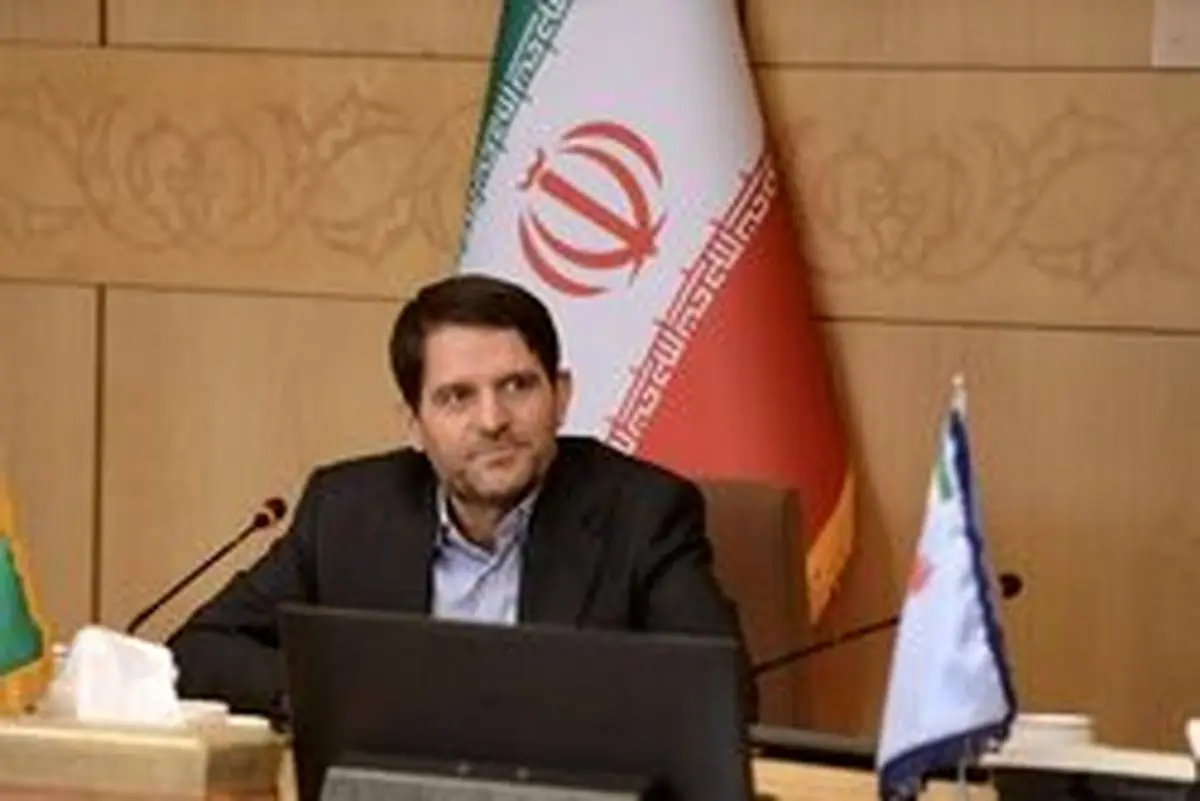 کمبود خوراک گازی ۱۸ میلیارد دلار سرمایه پتروشیمی را بلااستفاده کرد