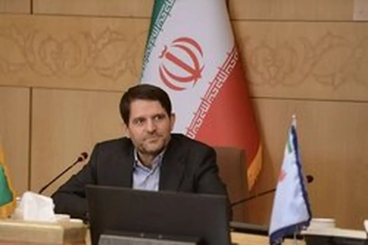 کمبود خوراک گازی ۱۸ میلیارد دلار سرمایه پتروشیمی را بلااستفاده کرد 