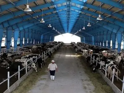 بازگشت 30 واحد پرواربندی غیرفعال استان مرکزی به چرخه تولید