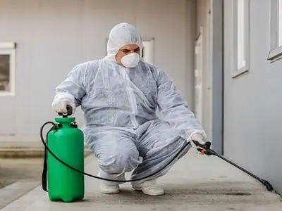 چرا پاکان مروارید بهترین شرکت تضمینی سمپاشی منزل می باشد؟