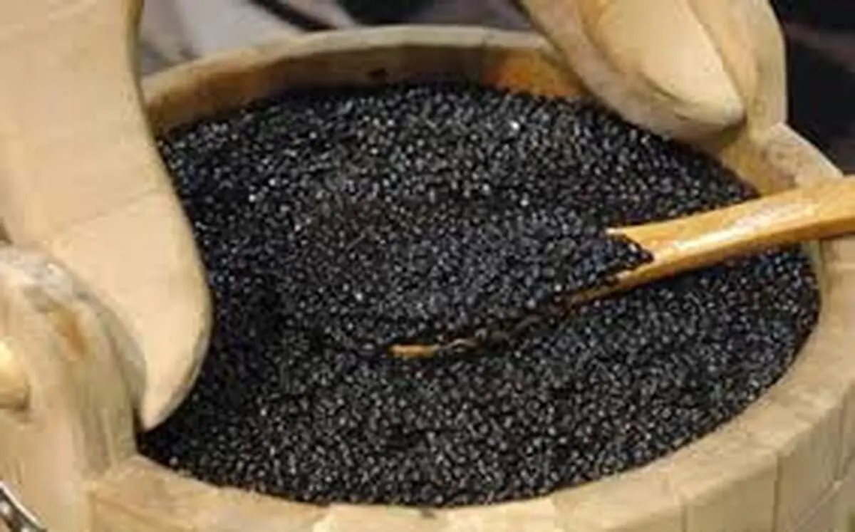 افزایش ۱۱۰ درصدی صادرات خاویار در نیمه نخست امسال