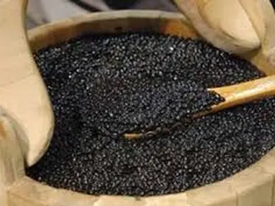افزایش ۱۱۰ درصدی صادرات خاویار در نیمه نخست امسال
