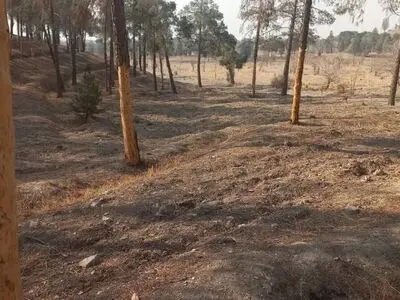 مدیریت دوگانه بوستان‌های جنگلی شهر تهران باید حل شود