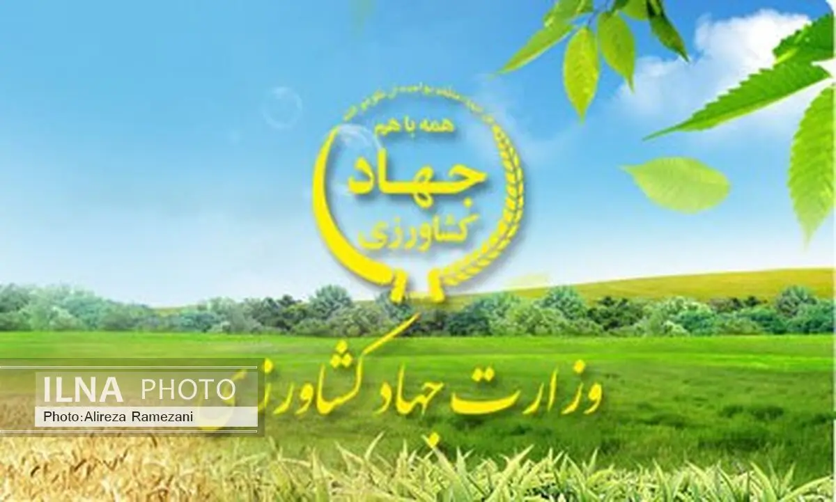 پروژه‌های کشاورزی بابل و بابلسر افتتاح می شود 