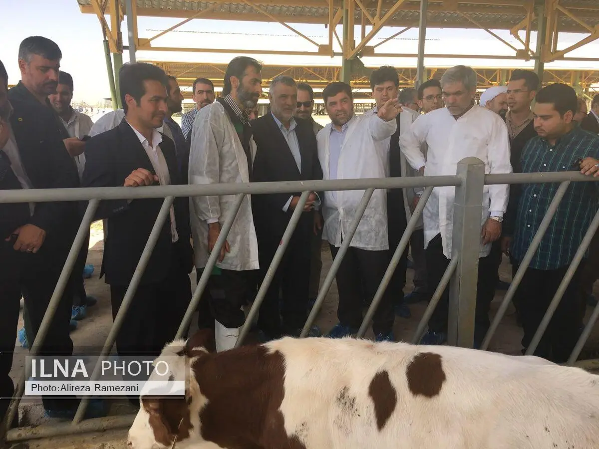 نخستین مجتمع دامپروری و تولید نهاده‌های ژنتیکی گاو سمینتال درکشور به بهره‌برداری رسید