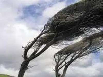 تندباد نقاط مختلف استان مرکزی را فرا می‌گیرد