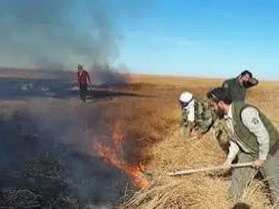 آتش‌سوزی مراتع عباس‌آباد دیناران شهرستان اردل پس از شش ساعت مهار شد