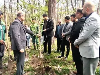 کاشت نهال به یاد رهبر شهید امت و شهدای جنگ رمضان در بندرکیاشهر