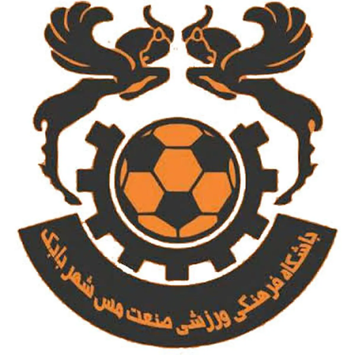 یازده بازیکن مس شهربابک مشخص شدند