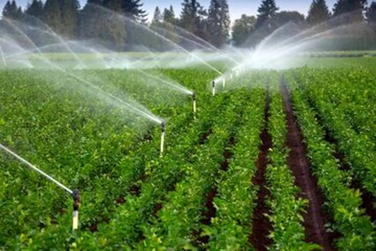 تجهیز 780 هکتار از اراضی کشاورزی استان مرکزی به سیستمهای نوین آبیاری